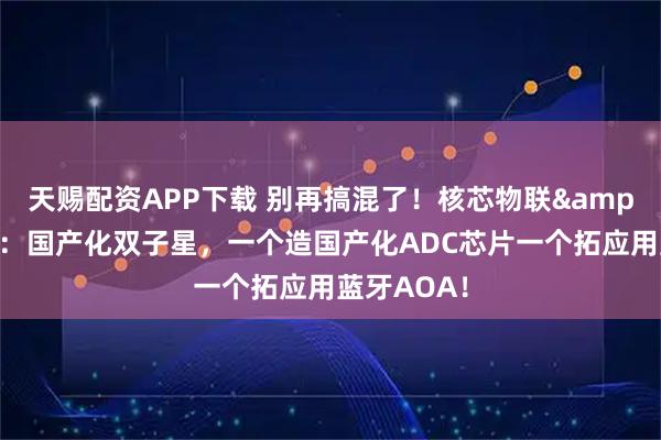天赐配资APP下载 别再搞混了！核芯物联&核芯互联：国产化双子星，一个造国产化ADC芯片一个拓应用蓝牙AOA！